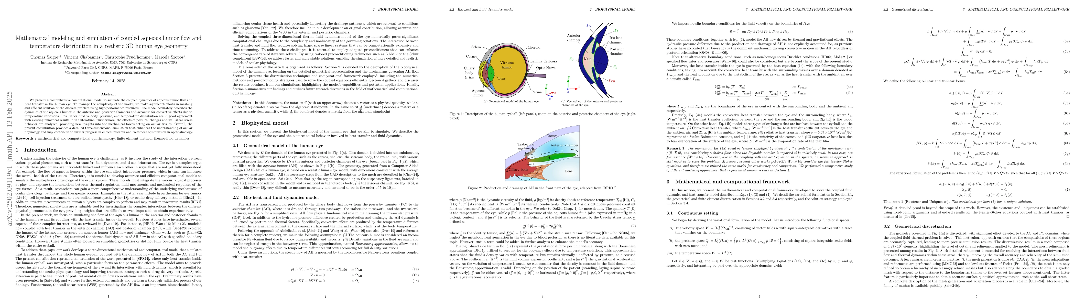 Thumbnail for Mathematical modeling and simulation of coupled aqueous humor flow and
  temperature distribution in a realistic 3D human eye geometry