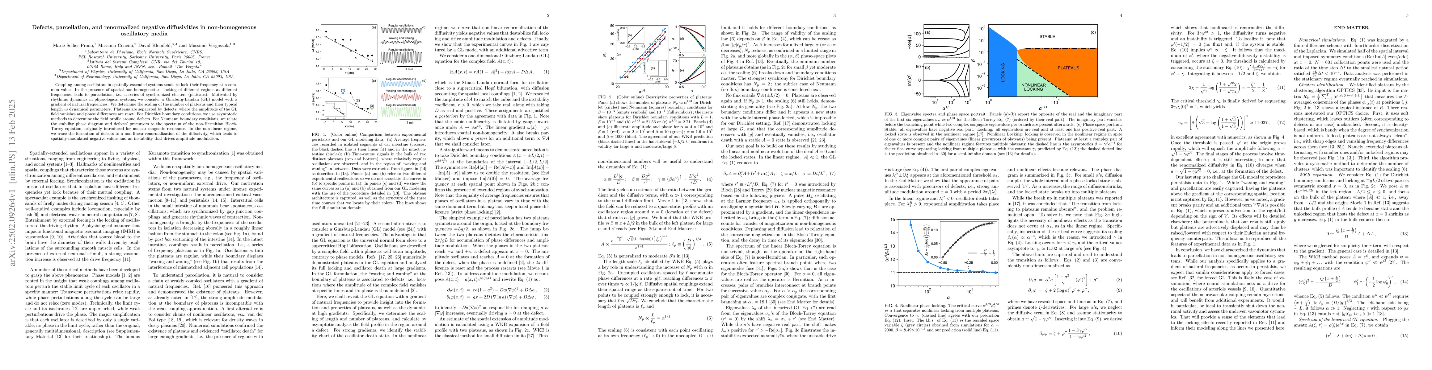 Thumbnail for Defects, parcellation, and renormalized negative diffusivities in
  non-homogeneous oscillatory media