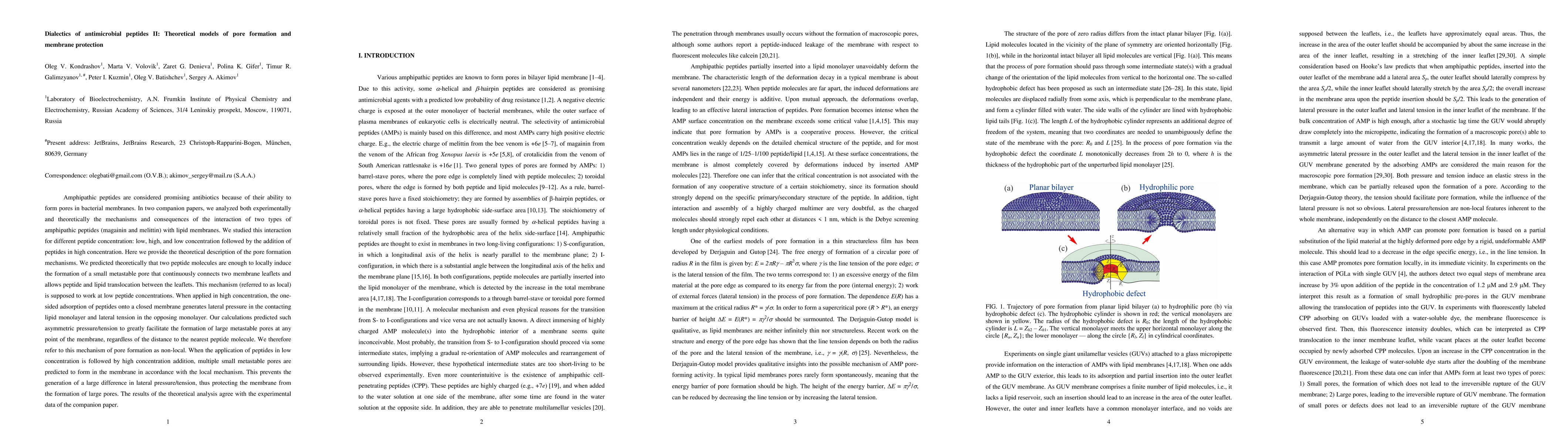 Thumbnail for Dialectics of antimicrobial peptides II: Theoretical models of pore
  formation and membrane protection