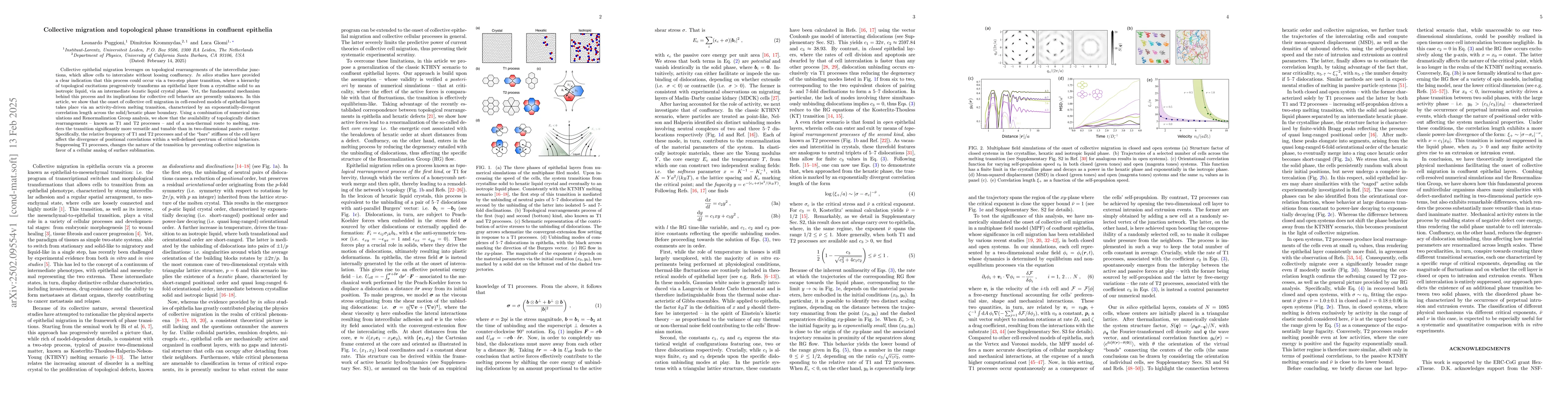 Thumbnail for Collective migration and topological phase transitions in confluent
  epithelia