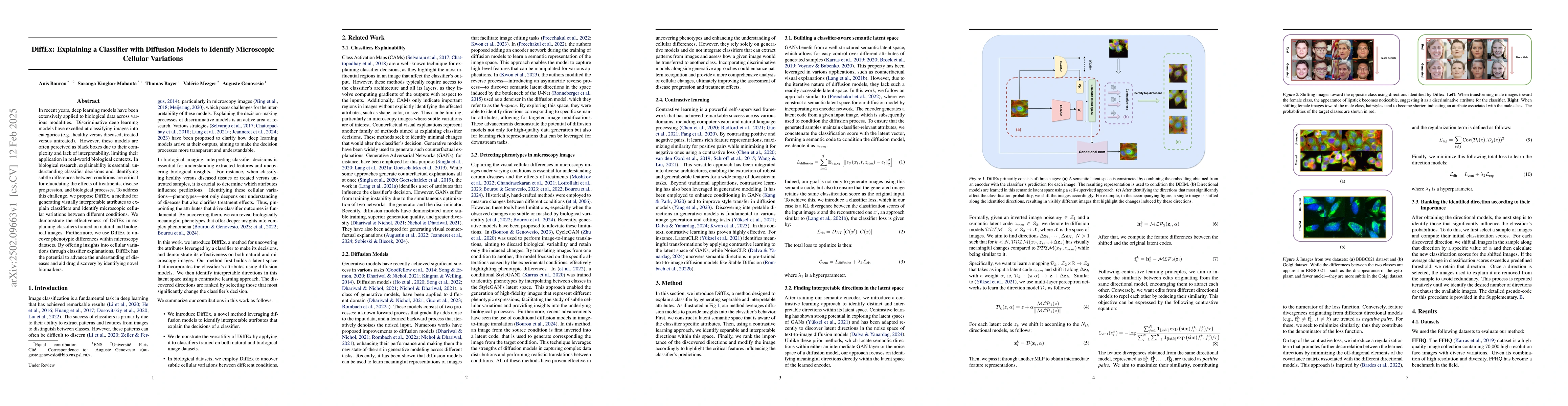 Thumbnail for DiffEx: Explaining a Classifier with Diffusion Models to Identify
  Microscopic Cellular Variations
