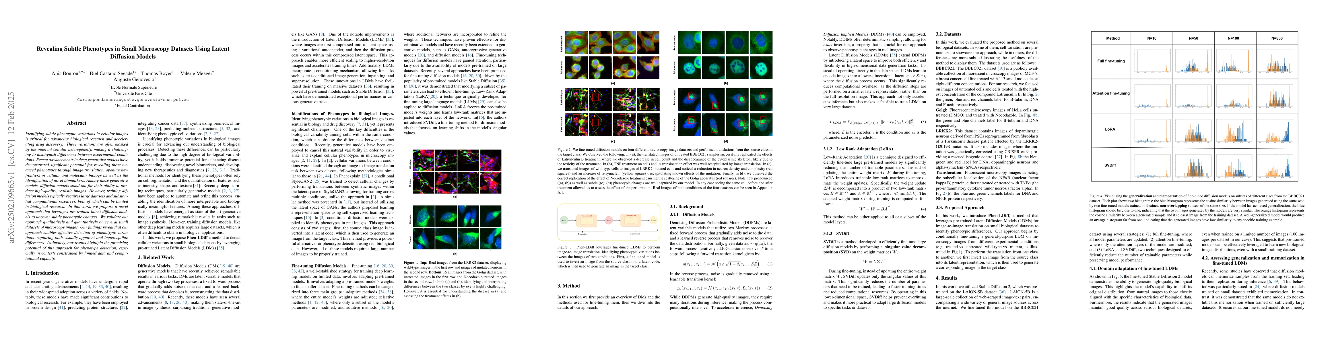 Thumbnail for Revealing Subtle Phenotypes in Small Microscopy Datasets Using Latent
  Diffusion Models
