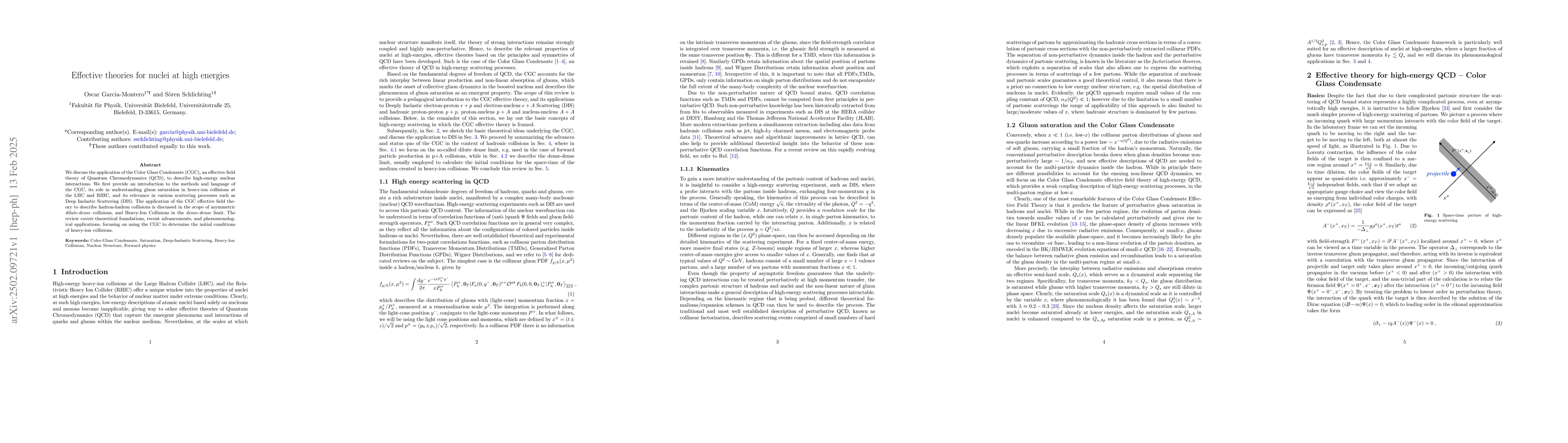 Thumbnail for Effective theories for nuclei at high energies