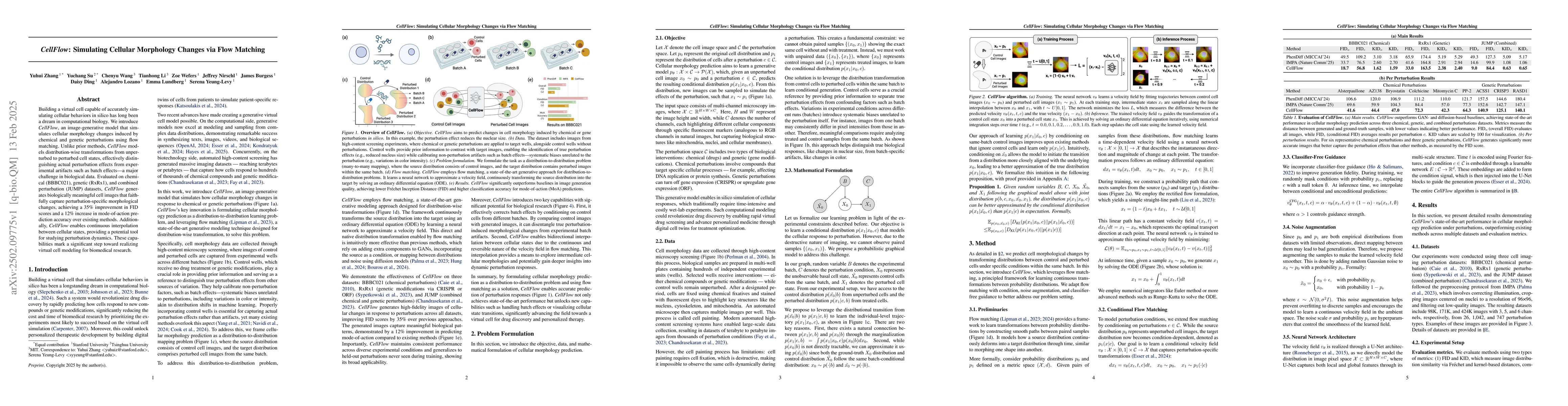 Thumbnail for CellFlow: Simulating Cellular Morphology Changes via Flow Matching