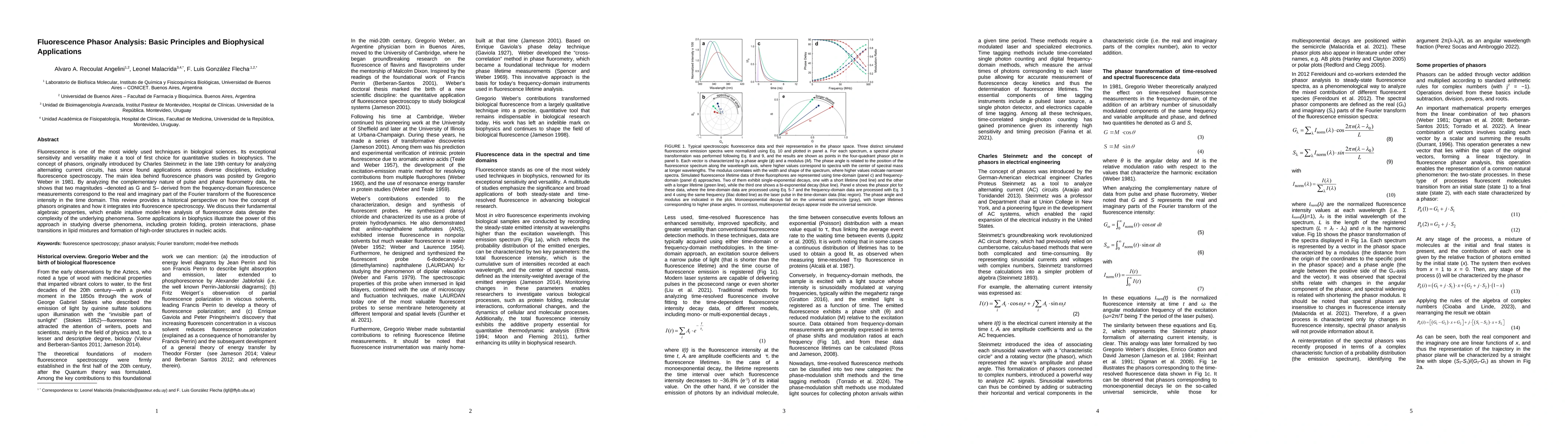 Thumbnail for Fluorescence Phasor Analysis: Basic Principles and Biophysical
  Applications