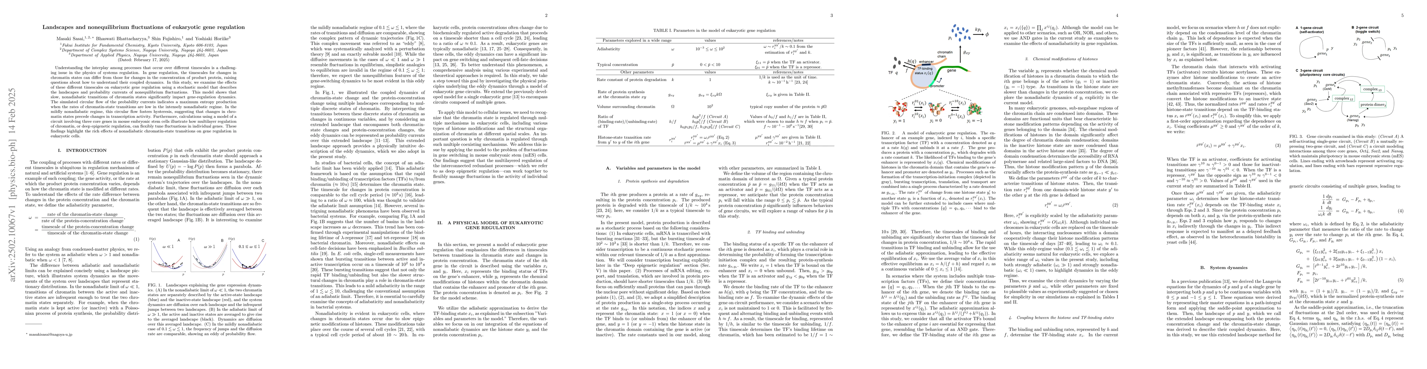 Thumbnail for Landscapes and nonequilibrium fluctuations of eukaryotic gene regulation