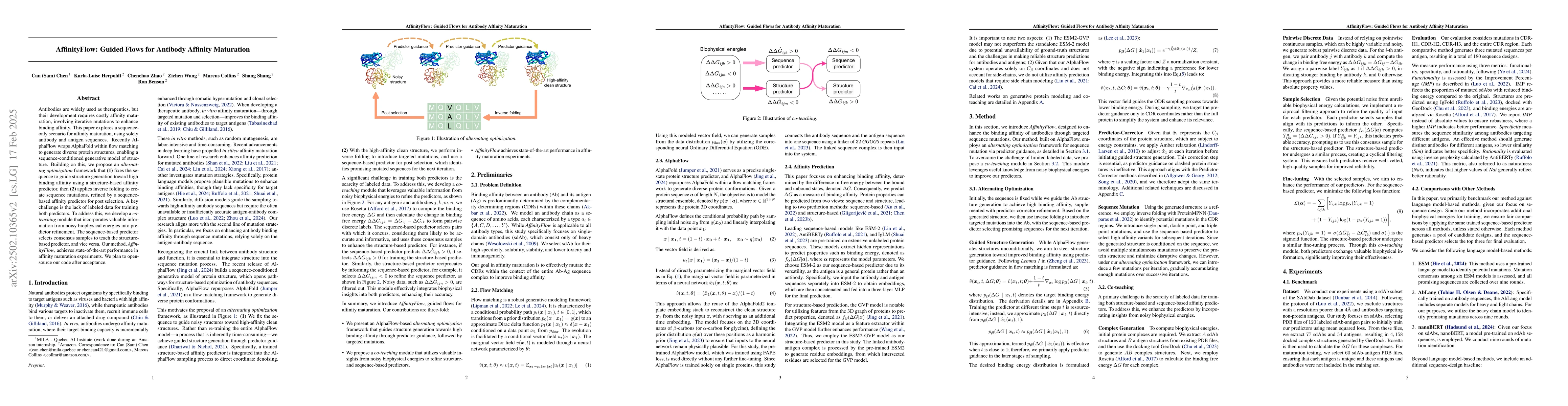 Thumbnail for AffinityFlow: Guided Flows for Antibody Affinity Maturation