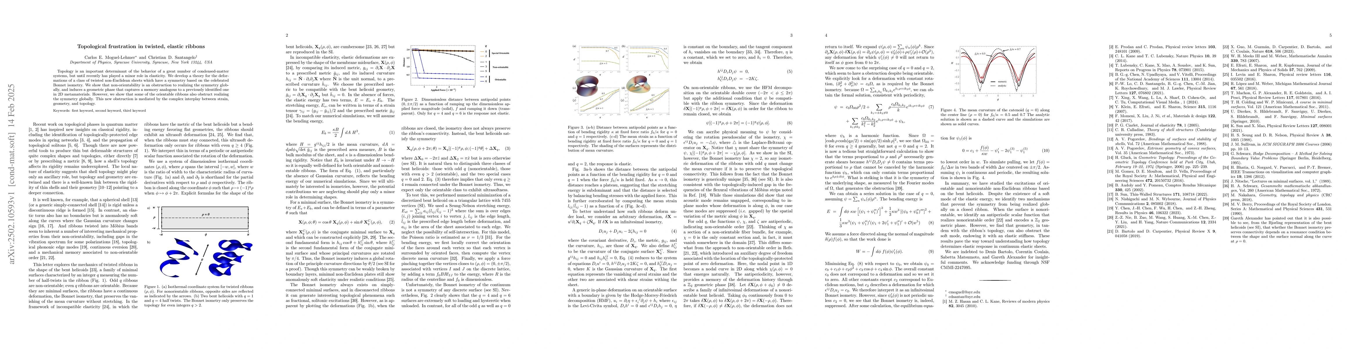 Thumbnail for Topological frustration in twisted, elastic ribbons