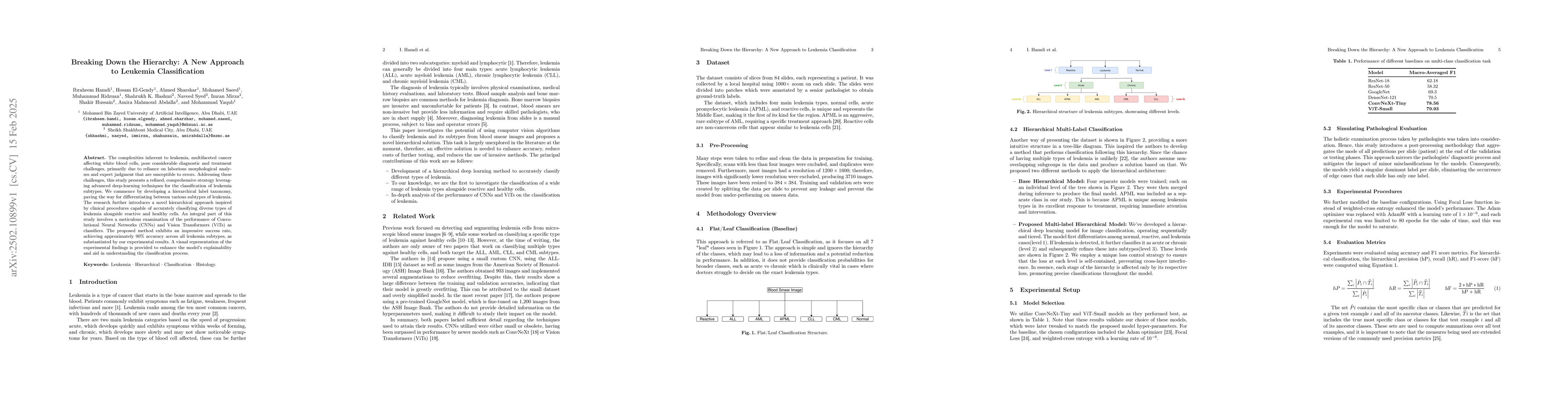 Thumbnail for Breaking Down the Hierarchy: A New Approach to Leukemia Classification