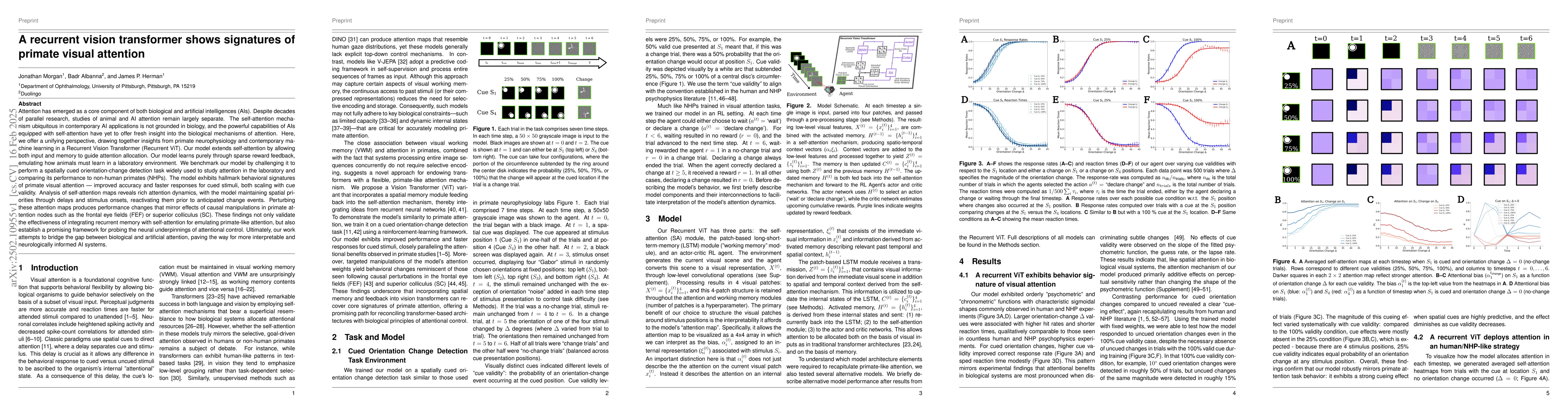 Thumbnail for A recurrent vision transformer shows signatures of primate visual
  attention