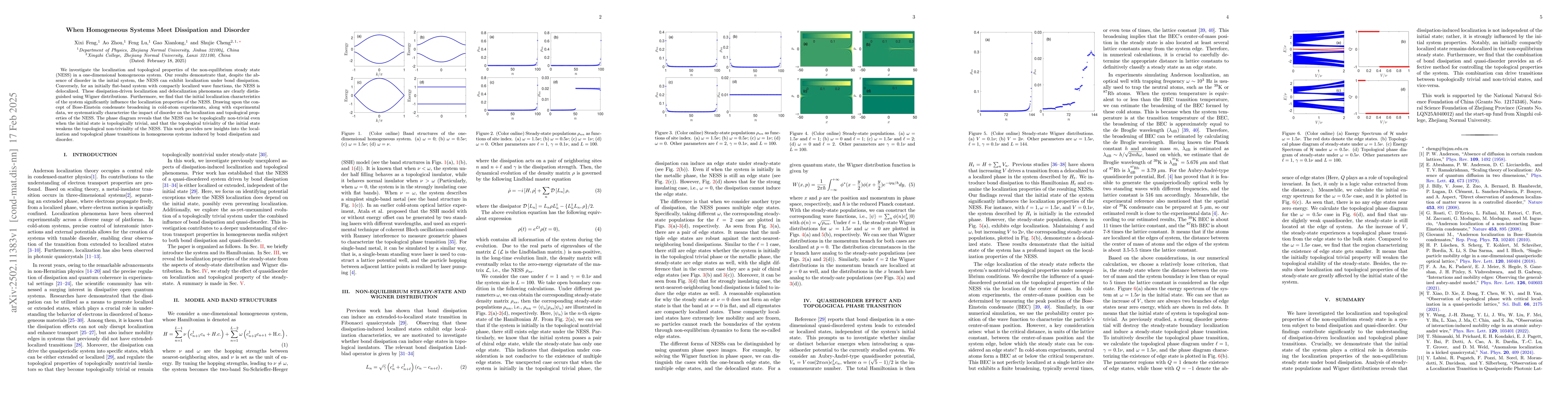 Thumbnail for When Homogeneous Systems Meet Dissipation and Disorder