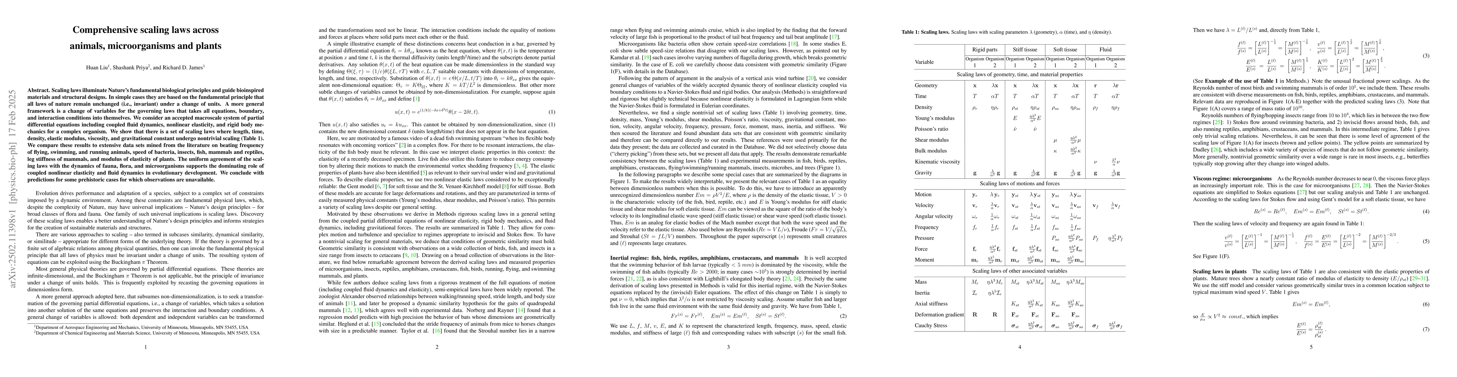 Thumbnail for Comprehensive scaling laws across animals, microorganisms and plants