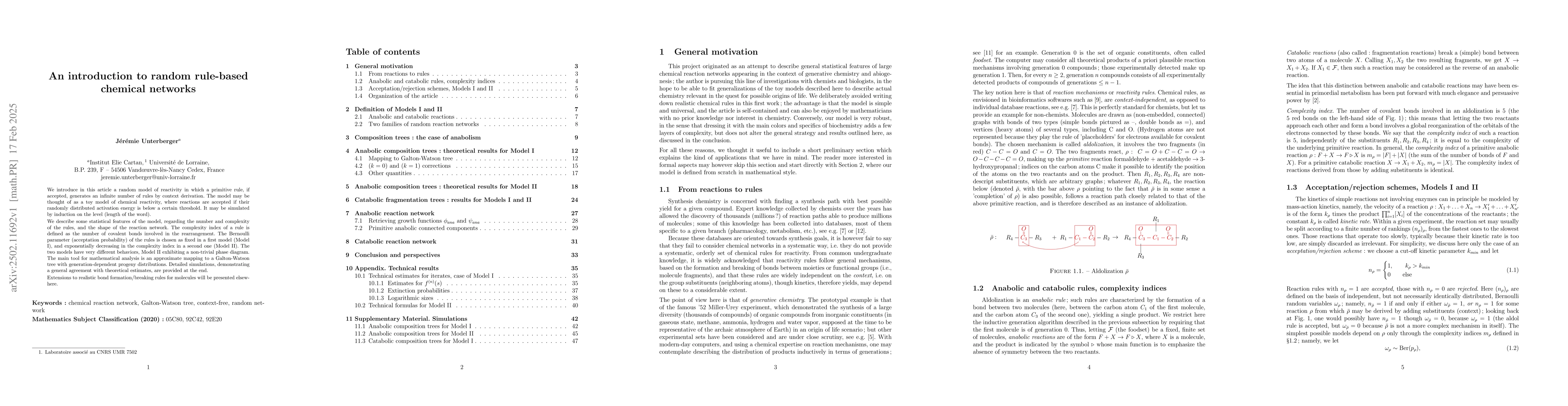 Thumbnail for An introduction to random rule-based chemical networks