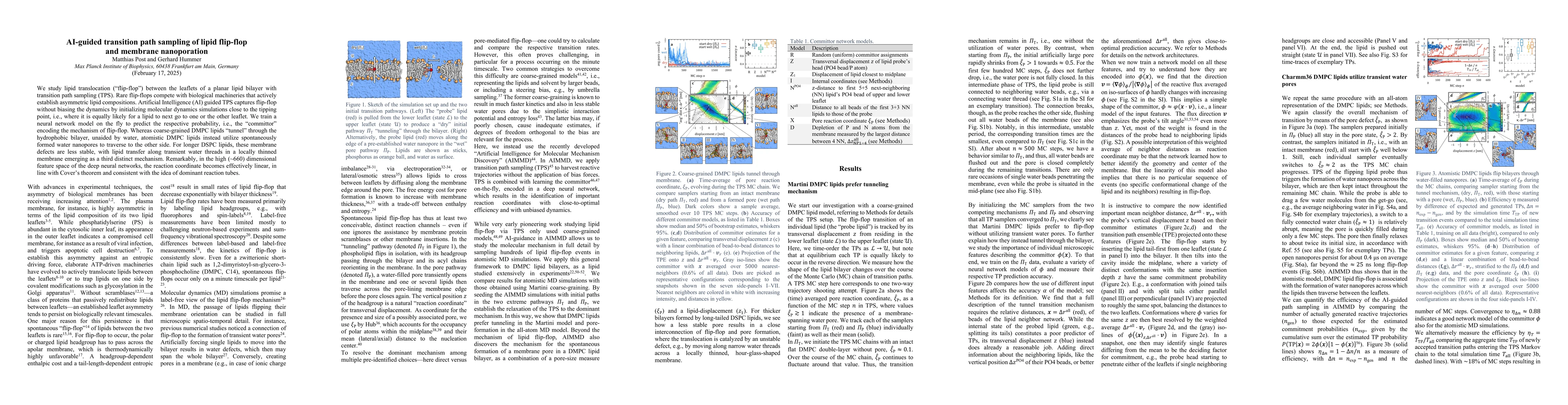 Thumbnail for AI-guided transition path sampling of lipid flip-flop and membrane
  nanoporation
