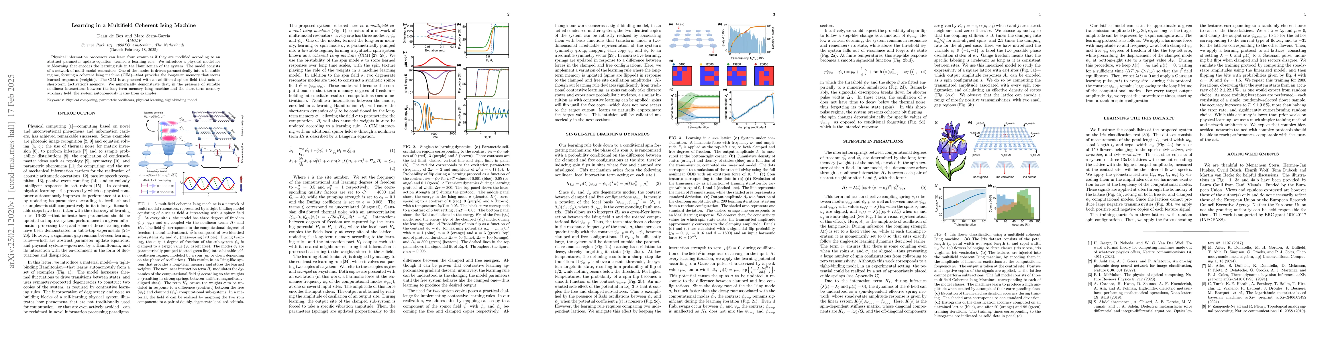 Thumbnail for Learning in a Multifield Coherent Ising Machine