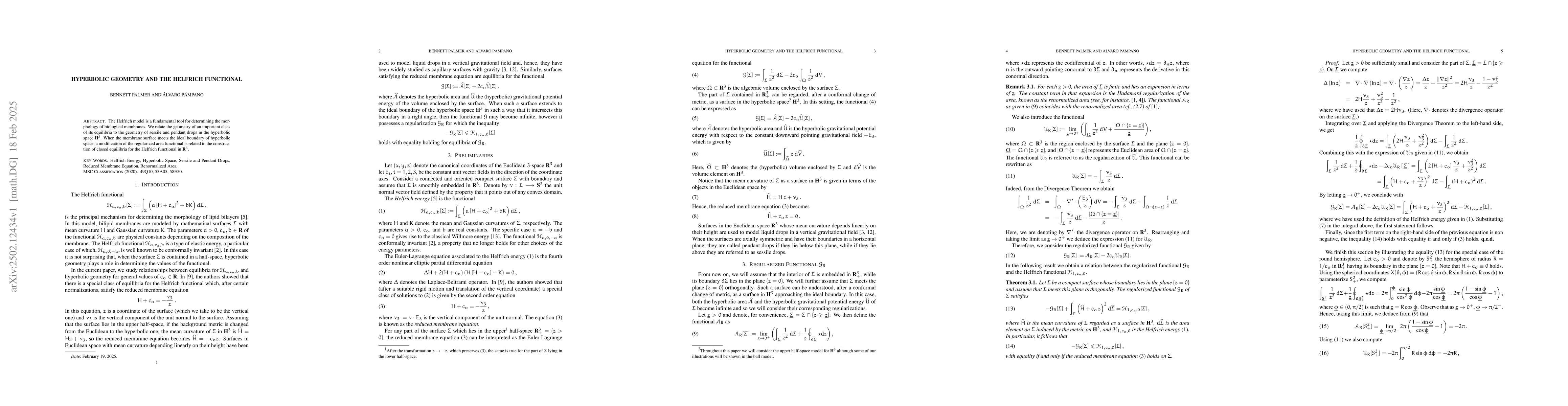 Thumbnail for Hyperbolic Geometry and the Helfrich Functional