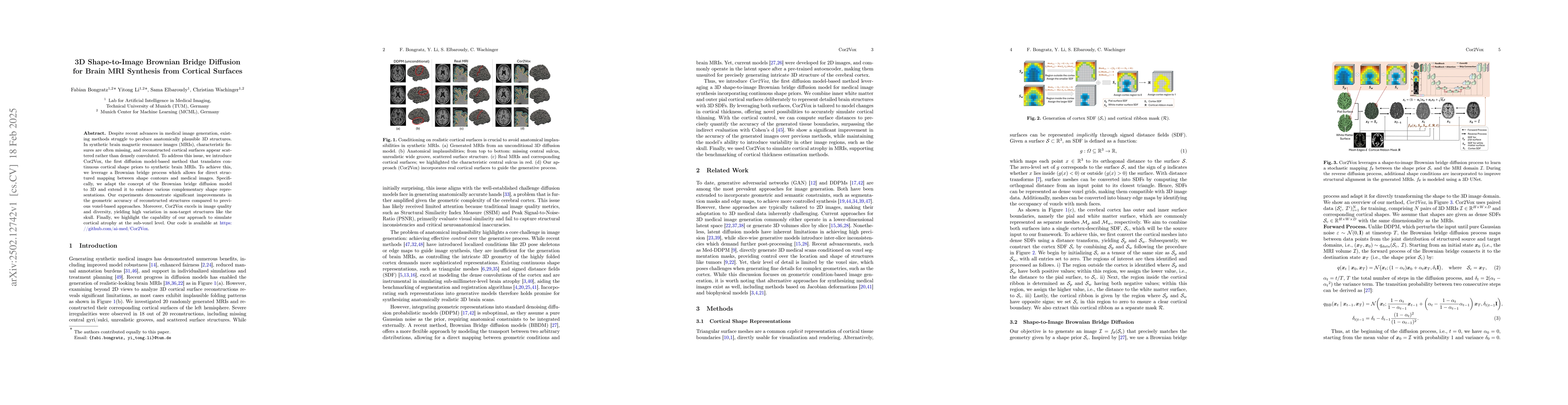 Thumbnail for 3D Shape-to-Image Brownian Bridge Diffusion for Brain MRI Synthesis from
  Cortical Surfaces