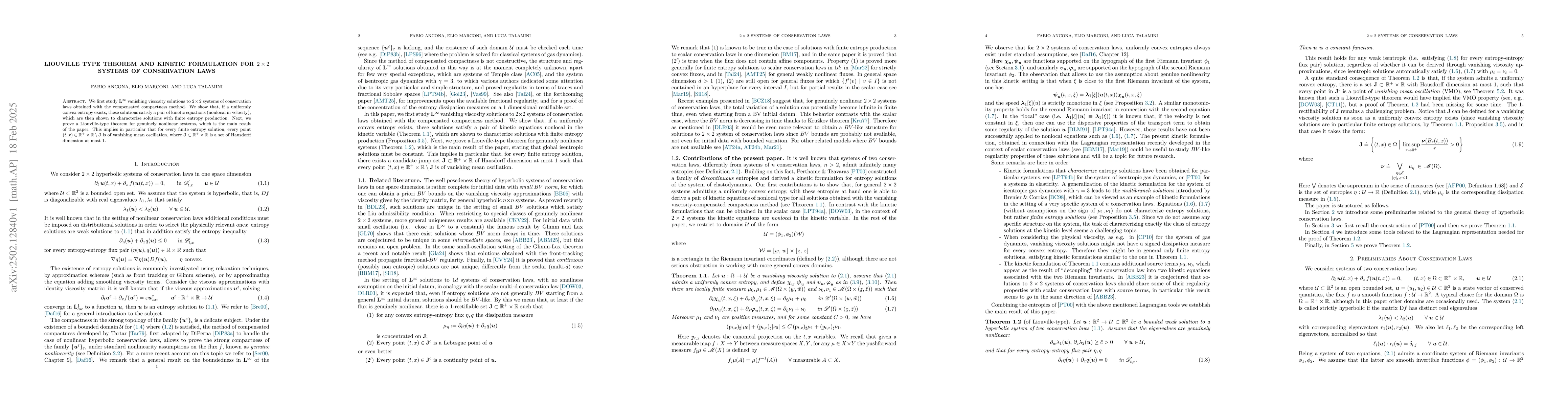 Thumbnail for Liouville type theorem and kinetic formulation for 2x2 systems of
  conservation laws