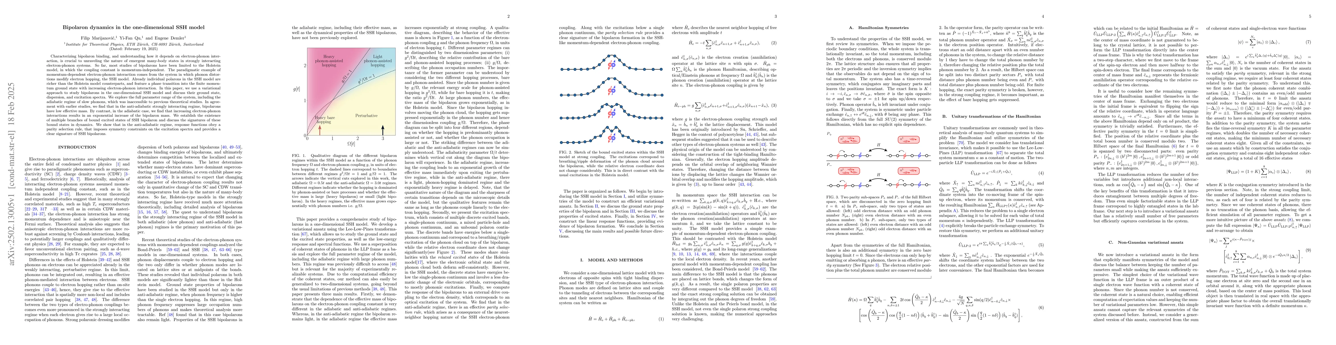 Thumbnail for Bipolaron dynamics in the one-dimensional SSH model
