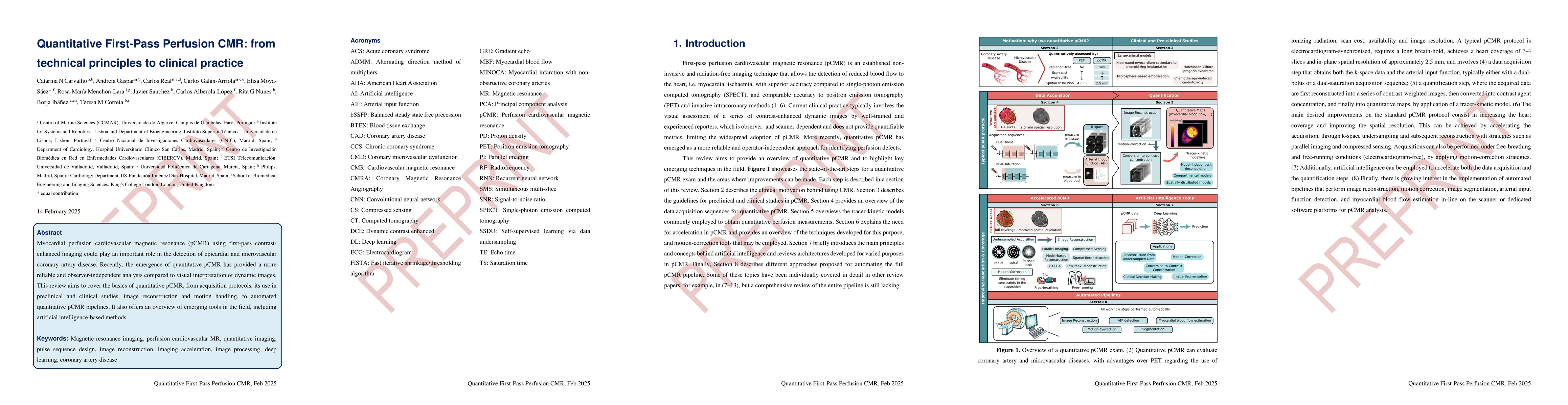 Thumbnail for Quantitative First-Pass Perfusion CMR: from technical principles to
  clinical practice