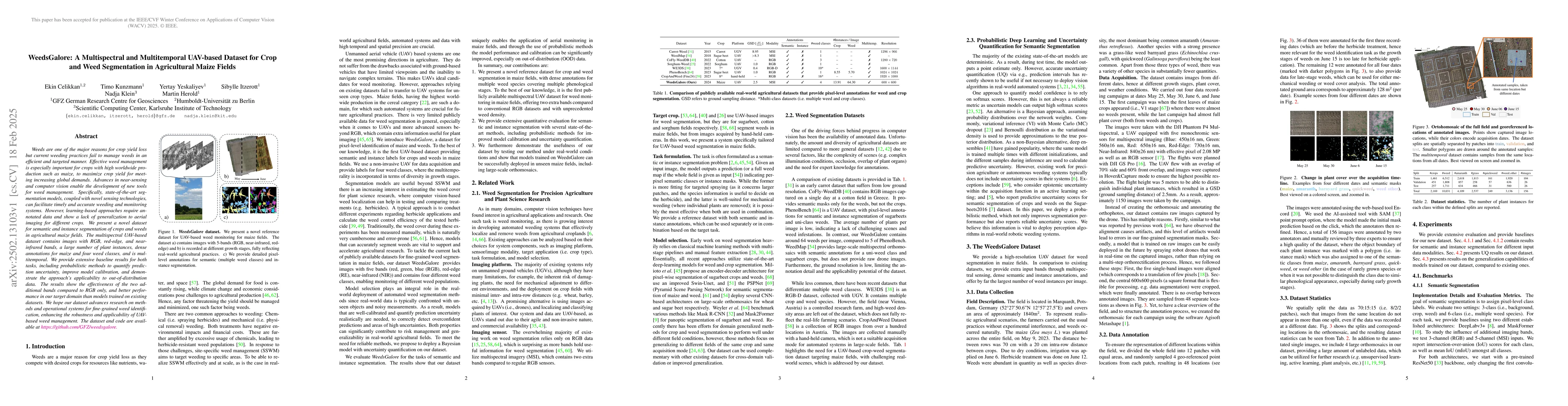 Thumbnail for WeedsGalore: A Multispectral and Multitemporal UAV-based Dataset for
  Crop and Weed Segmentation in Agricultural Maize Fields