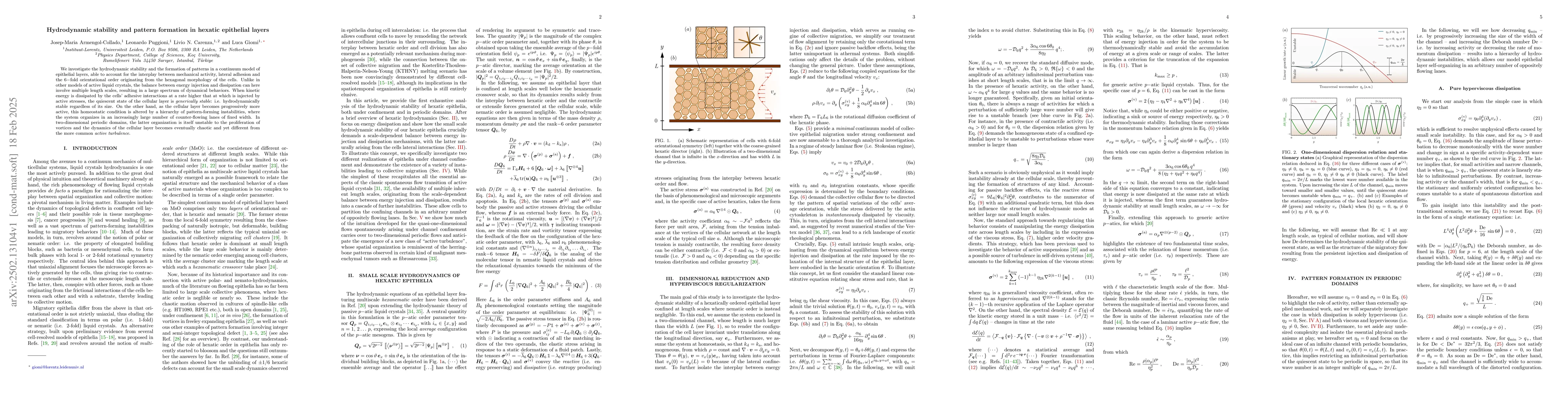 Thumbnail for Hydrodynamic stability and pattern formation in hexatic epithelial
  layers