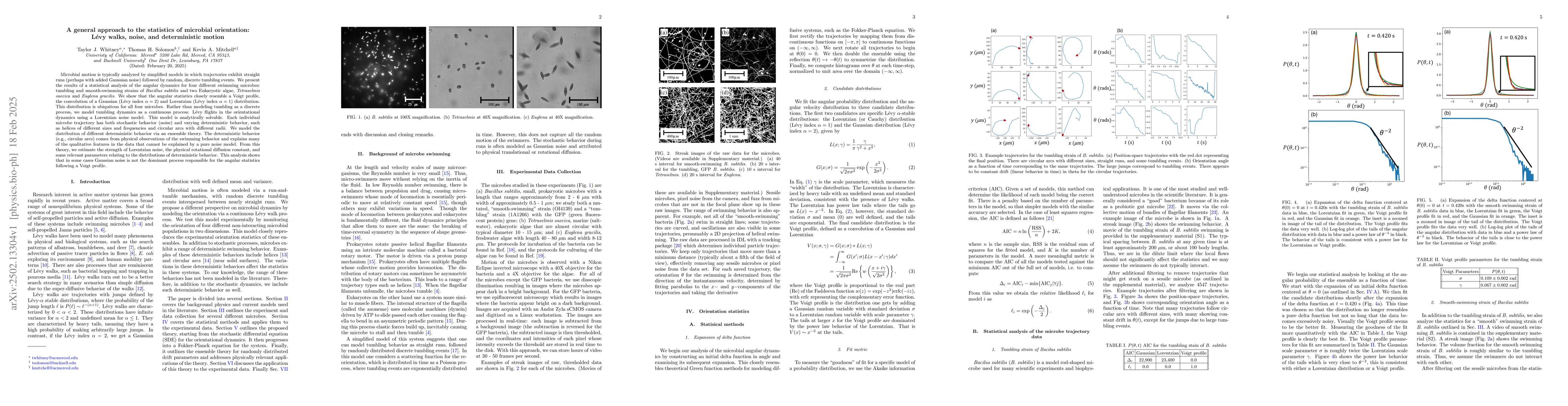 Thumbnail for A general approach to the statistics of microbial orientation: Lévy
  walks, noise, and deterministic motion