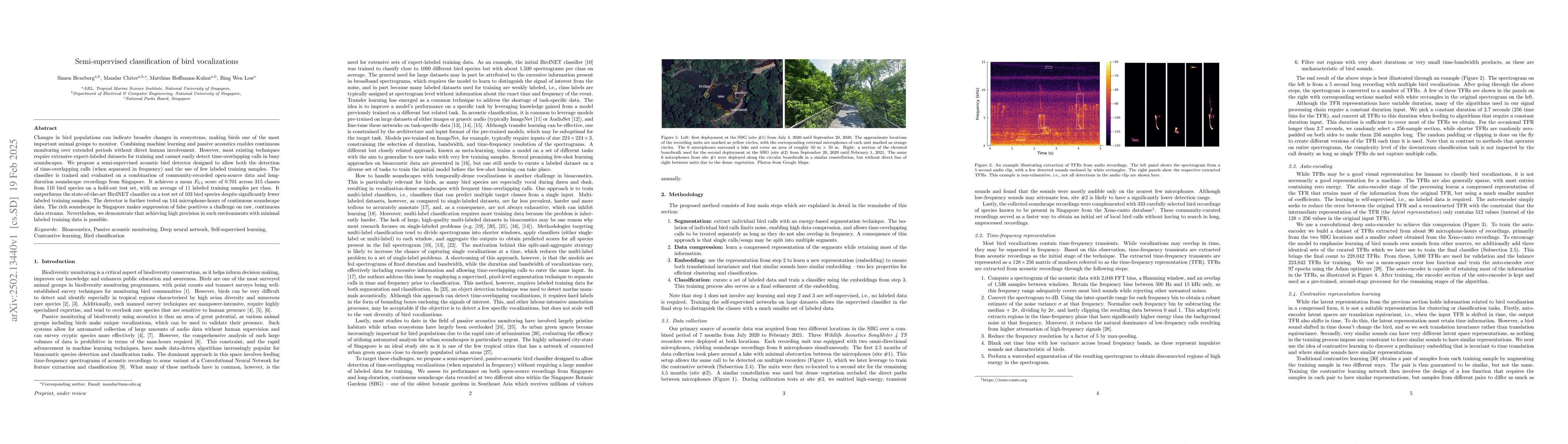 Thumbnail for Semi-supervised classification of bird vocalizations