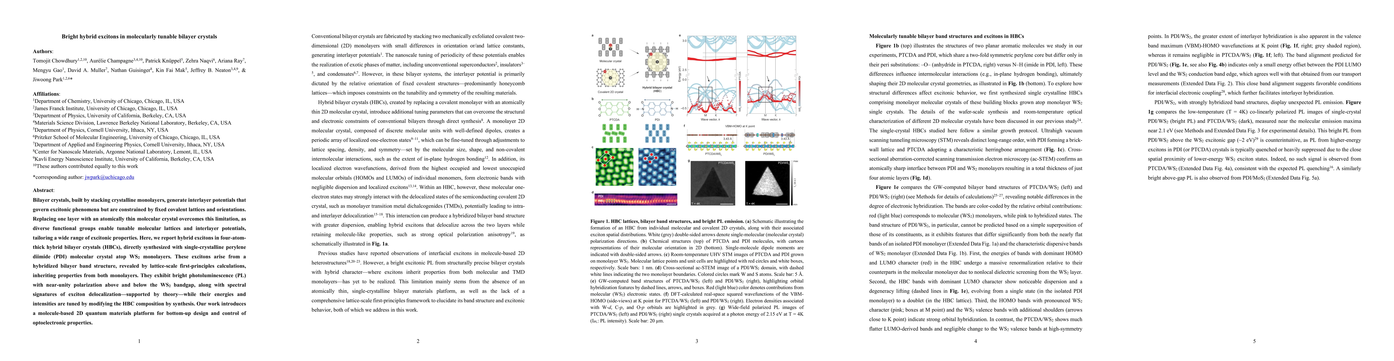 Thumbnail for Bright hybrid excitons in molecularly tunable bilayer crystals