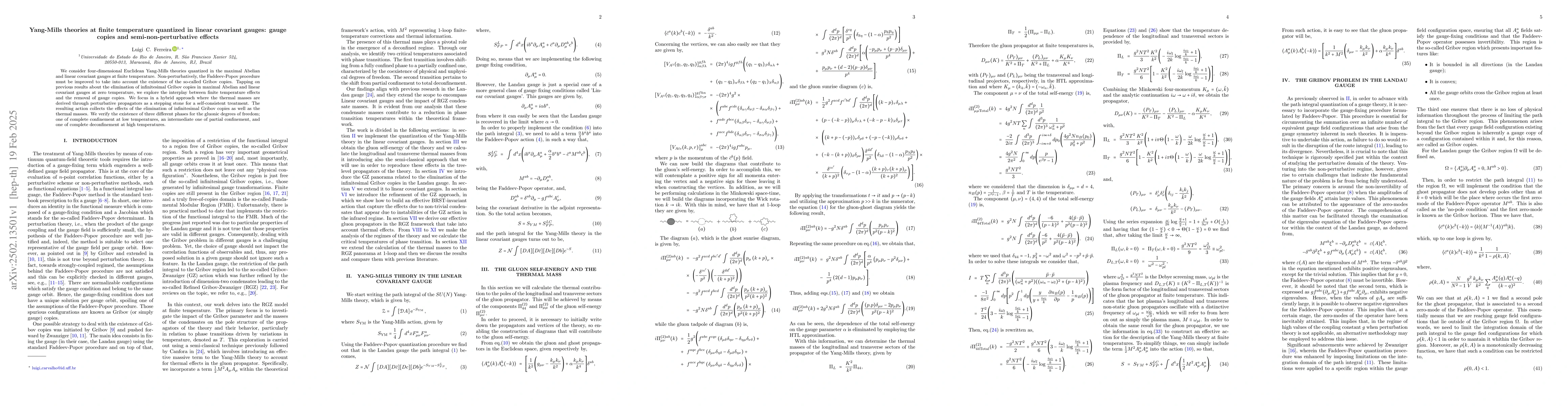 Thumbnail for Yang-Mills theories at finite temperature quantized in linear covariant
  gauges: gauge copies and semi-non-perturbative effects