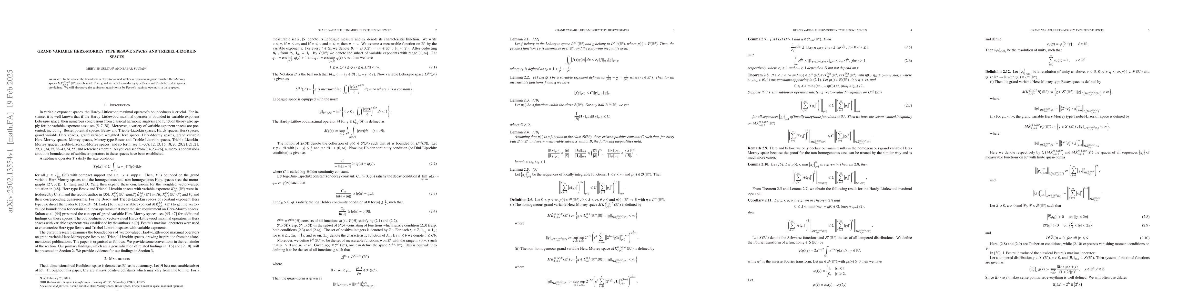 Thumbnail for Grand variable Herz-Morrey type Besove spaces and Triebel-Lizorkin
  spaces