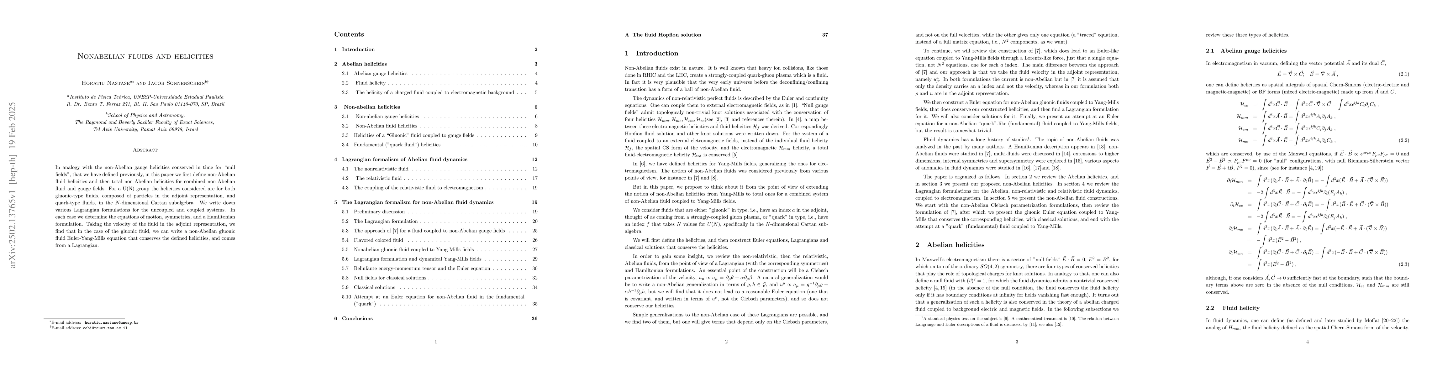 Thumbnail for Nonabelian fluids and helicities