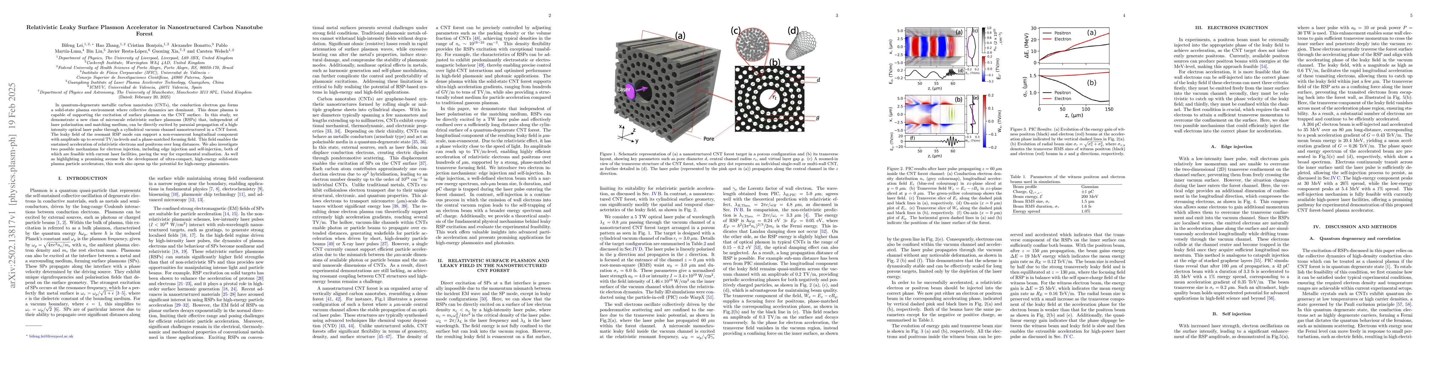 Thumbnail for Relativistic Leaky Surface Plasmon Accelerator in Nanostructured Carbon
  Nanotube Forest