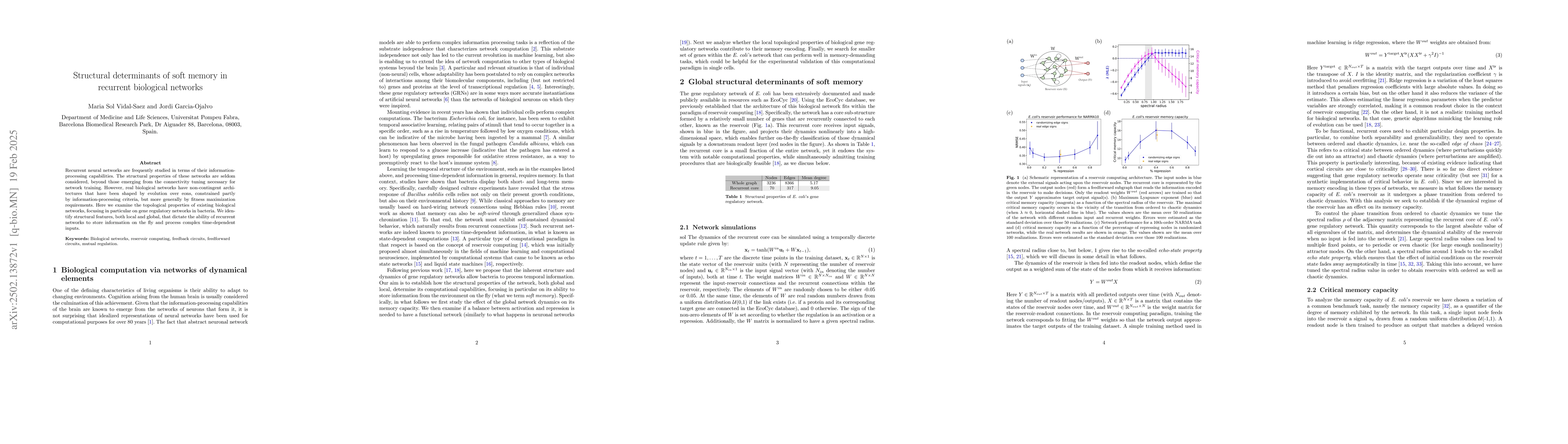 Thumbnail for Structural determinants of soft memory in recurrent biological networks