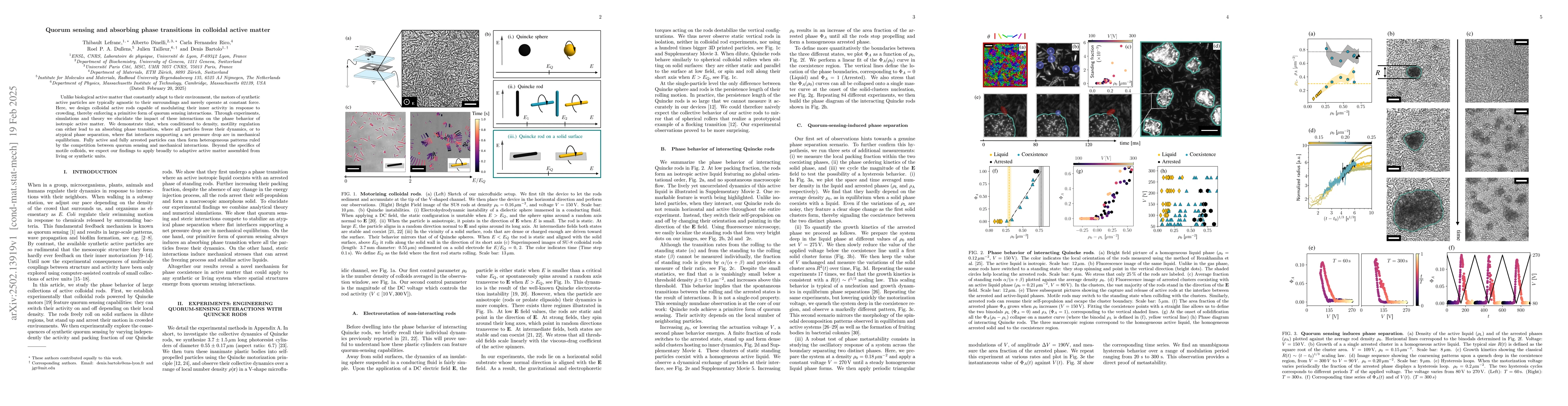 Thumbnail for Quorum sensing and absorbing phase transitions in colloidal active
  matter