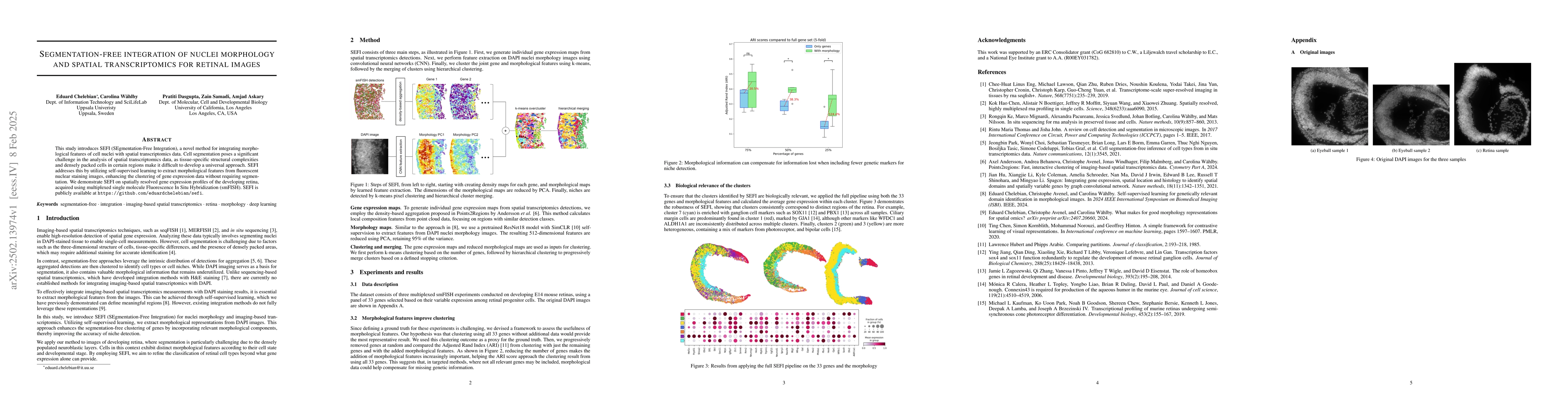 Thumbnail for Segmentation-free integration of nuclei morphology and spatial
  transcriptomics for retinal images