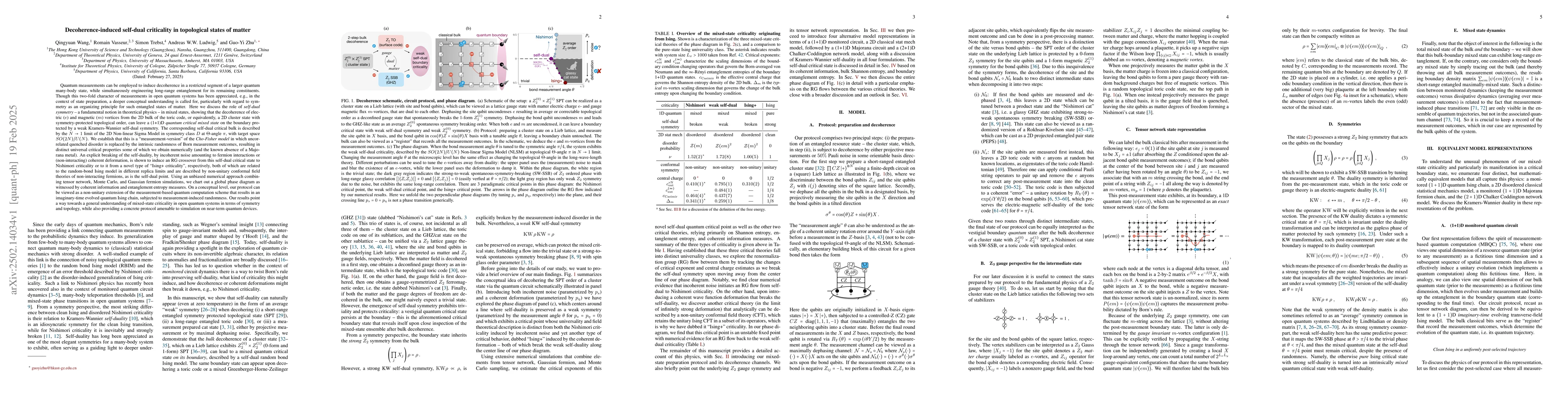 Thumbnail for Decoherence-induced self-dual criticality in topological states of
  matter