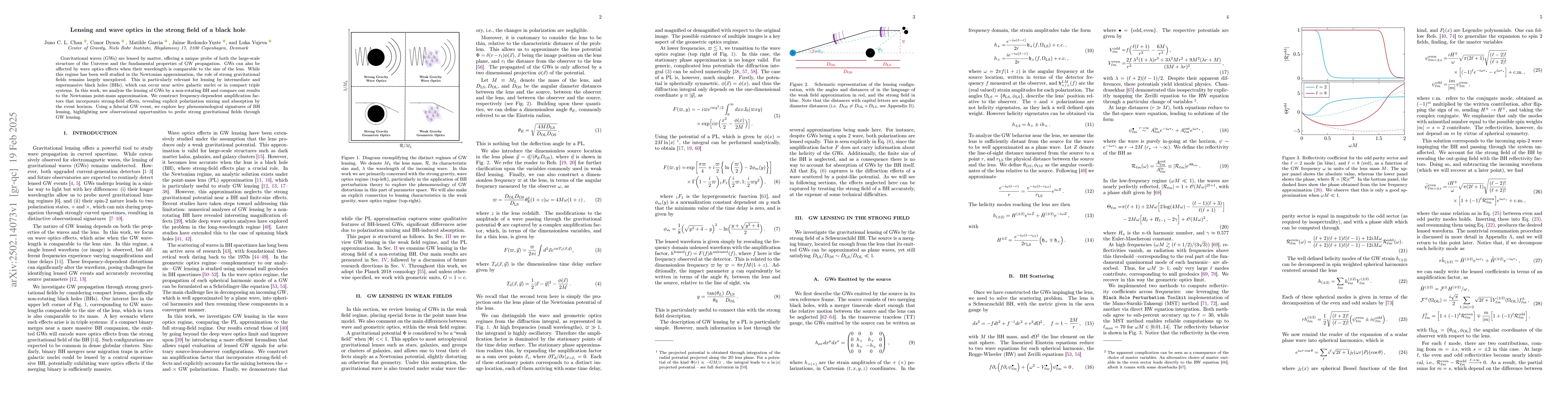Thumbnail for Lensing and wave optics in the strong field of a black hole