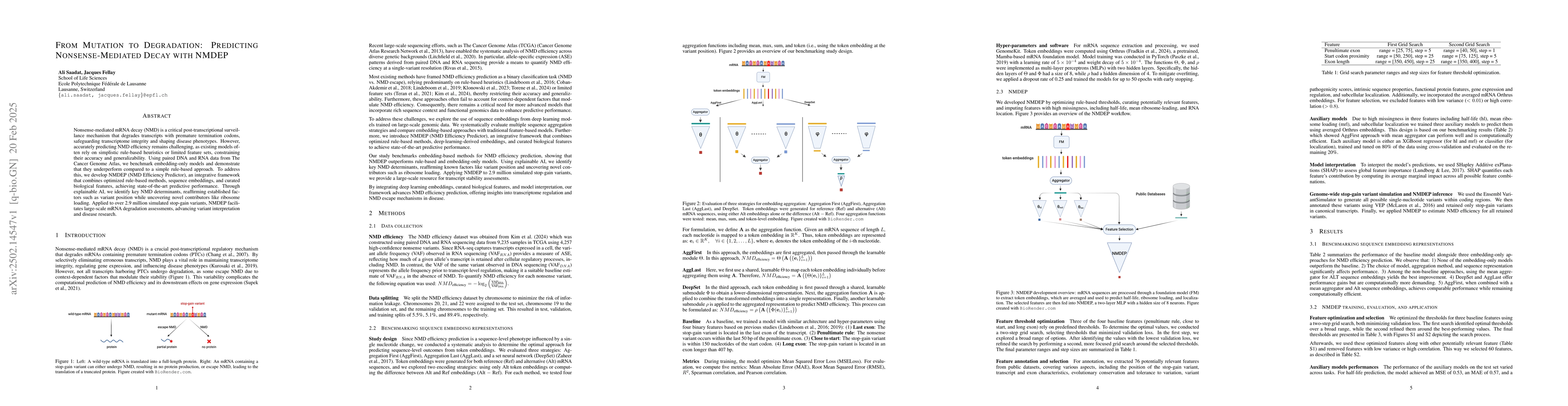 Thumbnail for From Mutation to Degradation: Predicting Nonsense-Mediated Decay with
  NMDEP