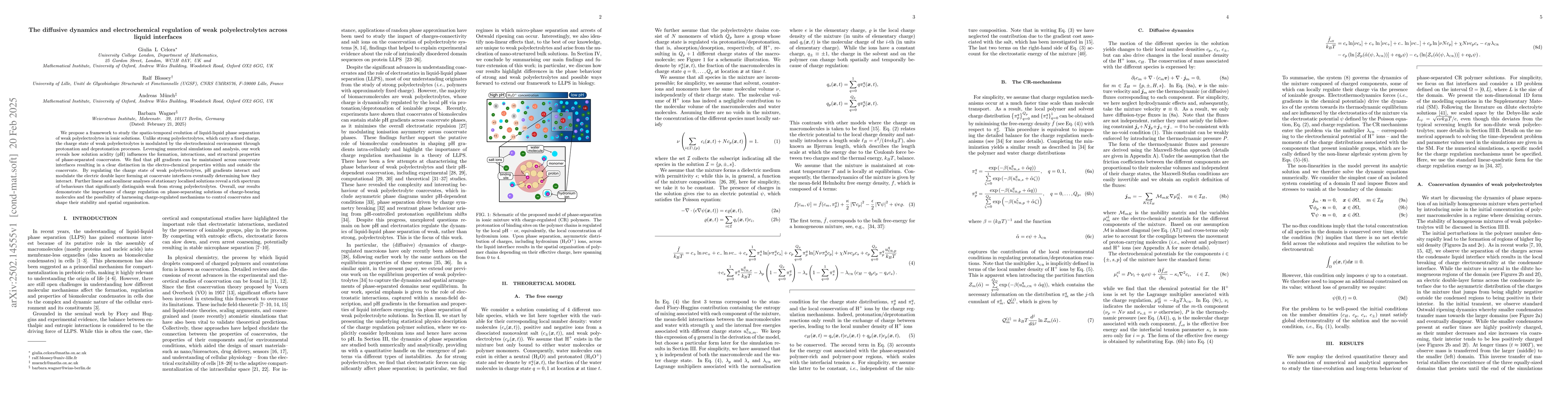 Thumbnail for The diffusive dynamics and electrochemical regulation of weak
  polyelectrolytes across liquid interfaces
