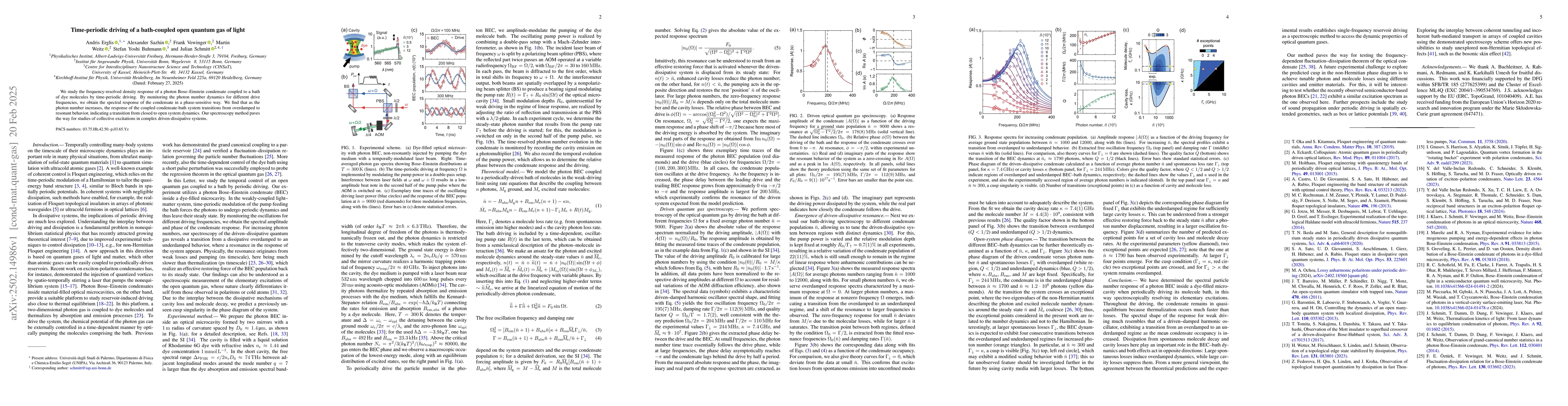 Thumbnail for Time-periodic driving of a bath-coupled open quantum gas of light