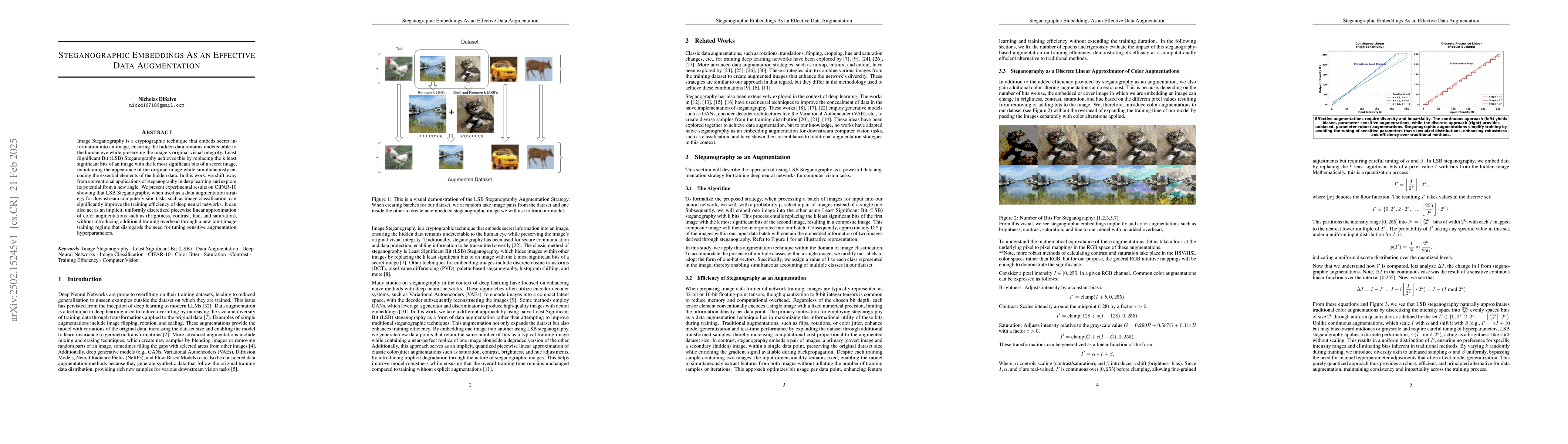 Thumbnail for Steganographic Embeddings as an Effective Data Augmentation