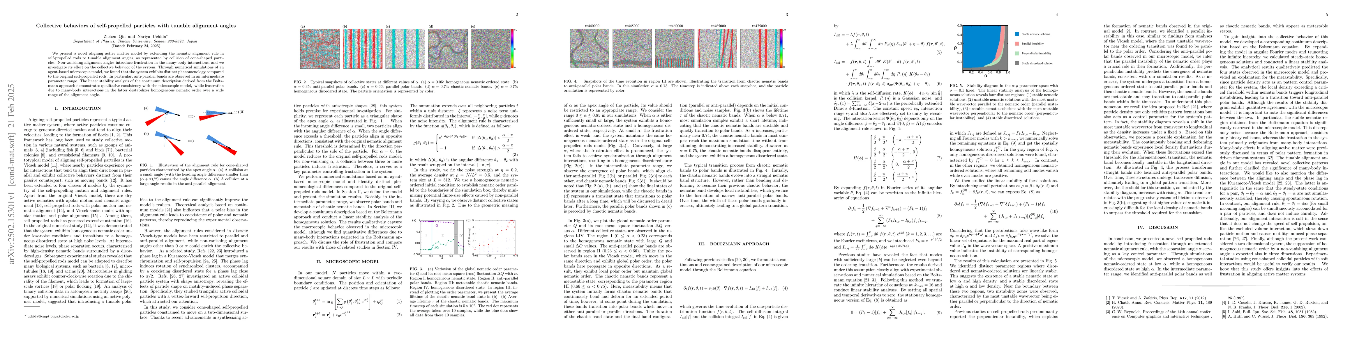 Thumbnail for Collective behaviors of self-propelled particles with tunable alignment
  angles