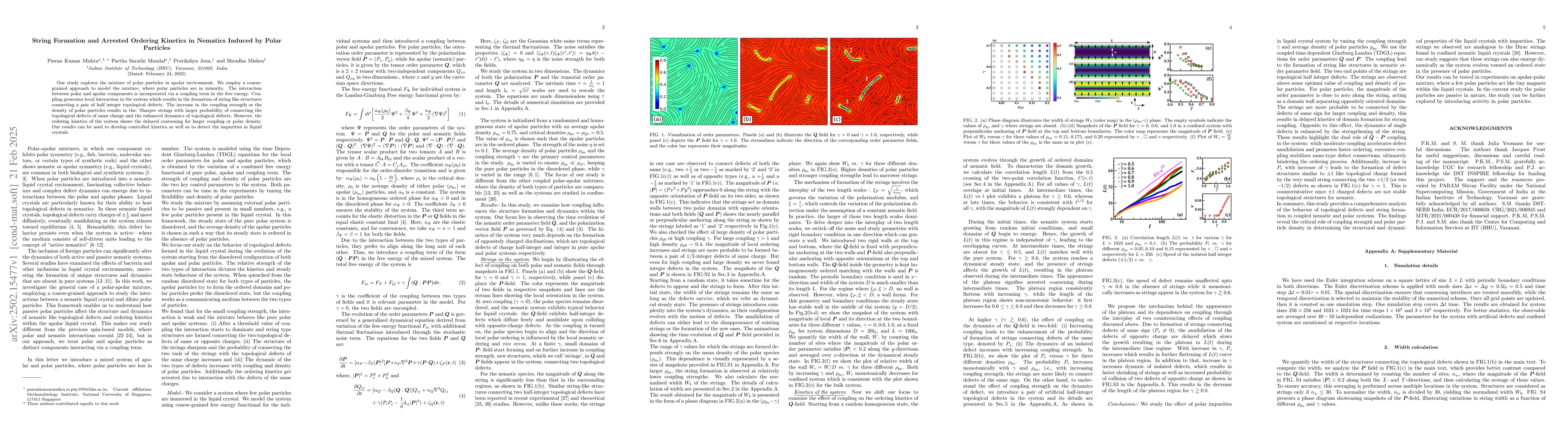 Thumbnail for String Formation and Arrested Ordering Kinetics in Nematics Induced by
  Polar Particles