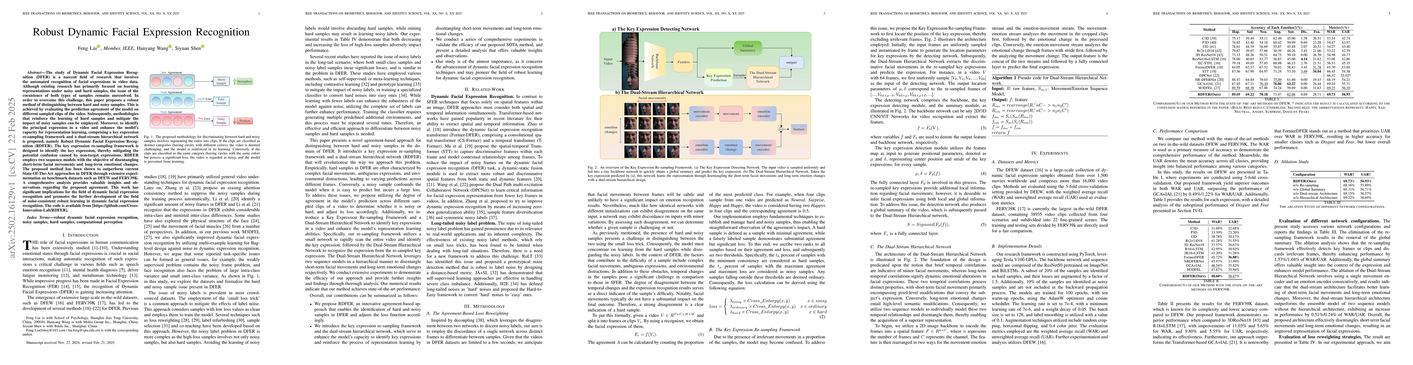 Thumbnail for Robust Dynamic Facial Expression Recognition
