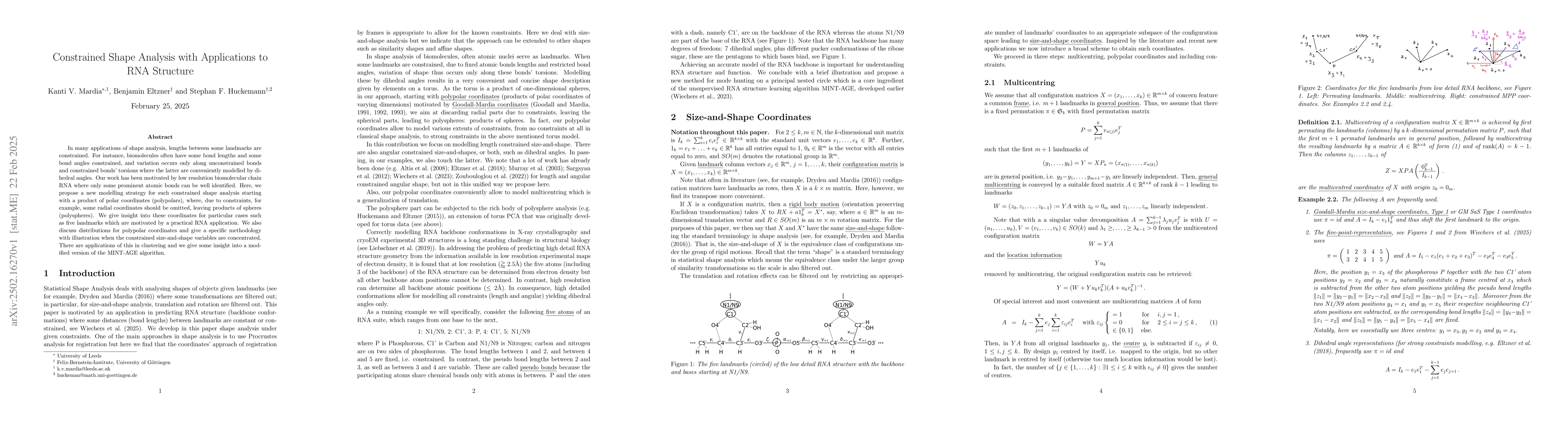 Thumbnail for Constrained Shape Analysis with Applications to RNA Structure
