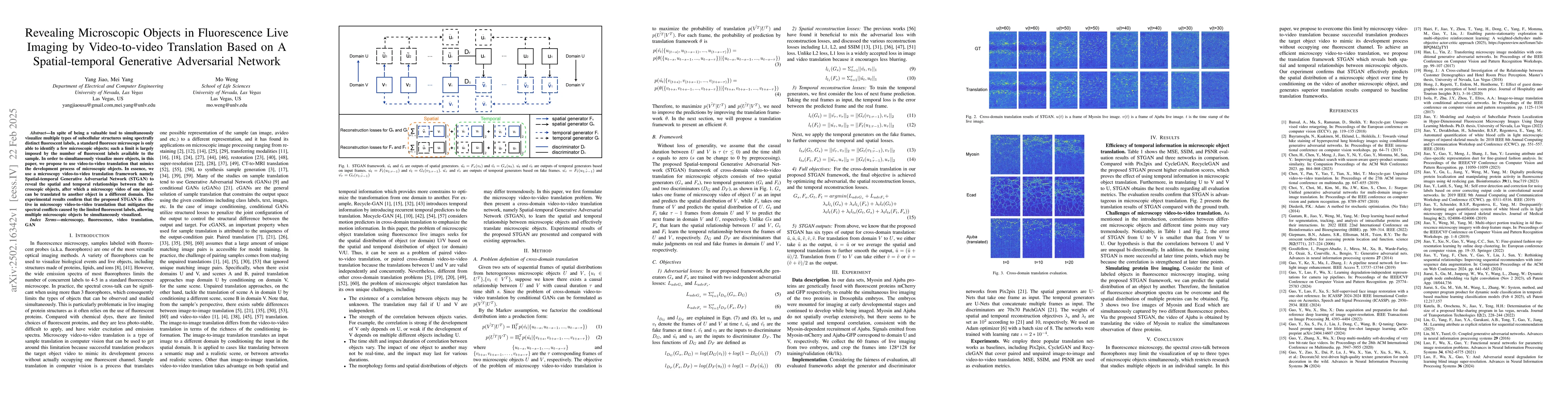 Thumbnail for Revealing Microscopic Objects in Fluorescence Live Imaging by
  Video-to-video Translation Based on A Spatial-temporal Generative Adversarial
  Network