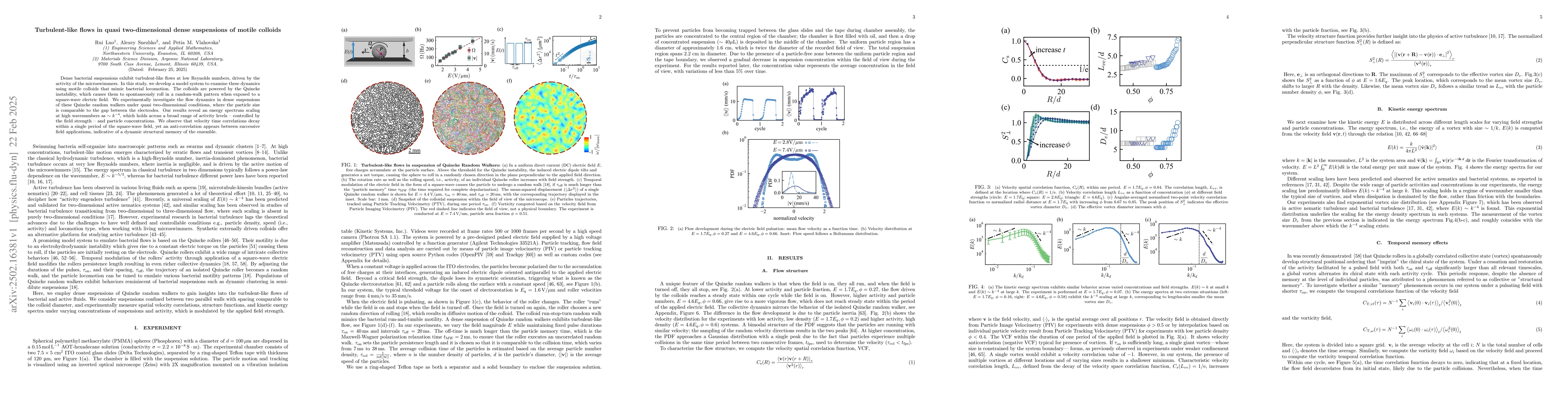 Thumbnail for Turbulent-like flows in quasi two-dimensional dense suspensions of
  motile colloids