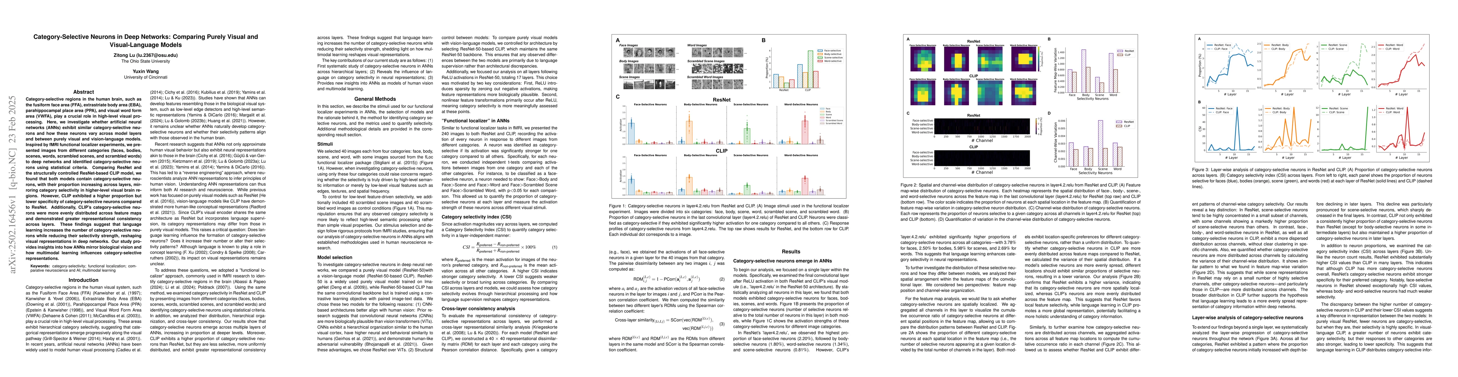 Thumbnail for Category-Selective Neurons in Deep Networks: Comparing Purely Visual and
  Visual-Language Models