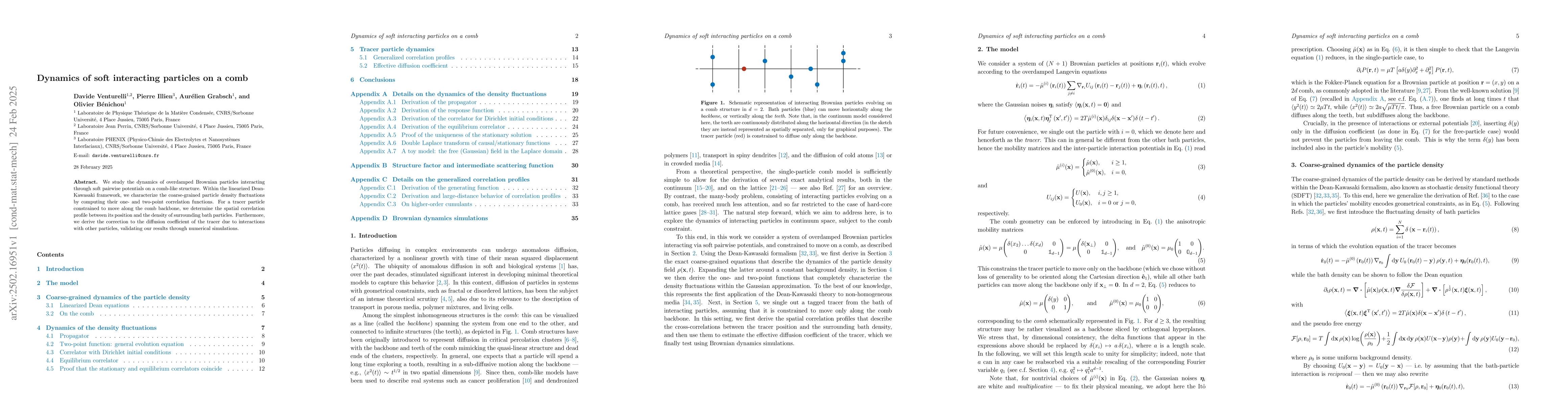 Thumbnail for Dynamics of soft interacting particles on a comb